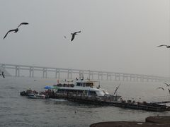 -星海广场