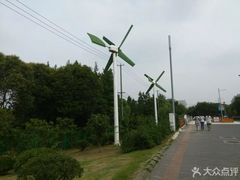 -新江湾城公园