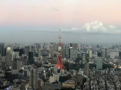 -六本木新城展望台(东京城市景观)