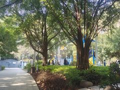-金鸡山公园