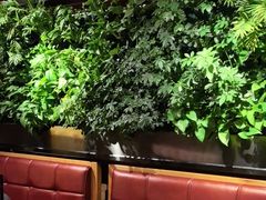 -巴奴毛肚火锅(广益哥伦布店)