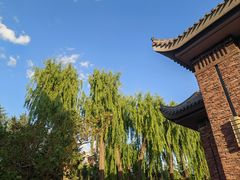 -东北农业大学