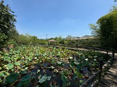 -驿舍·民國老营房院子私房菜(科学会堂店)