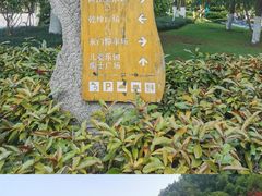 -龙头寺公园