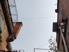 -粤轩楼广式特色餐厅(青岛路店)