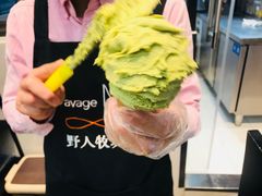 -野人先生现做冰淇淋(西安赛格店)