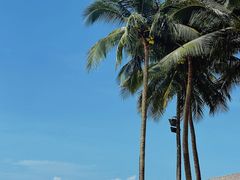 -石梅湾艾美度假酒店