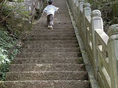 -天目山大树王景区