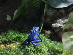 -暹罗海洋世界