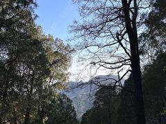 -泰山风景名胜区