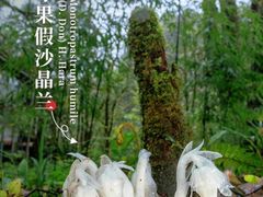 -龙苍沟森林公园