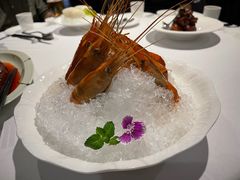-南麓·浙里(外滩店)