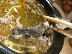 -香坝坝鲜鱼火锅(春熙路店)
