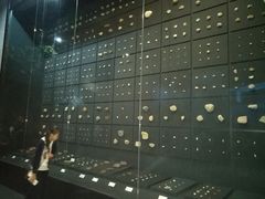 -北京周口店北京人遗址博物馆