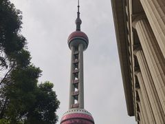 -上海海洋水族馆