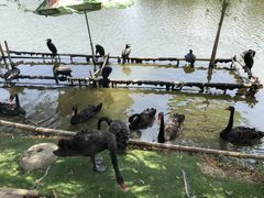 -长兴太湖图影湿地文化园