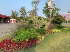 -上海长兴岛郊野公园