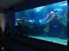 -聊城海底世界