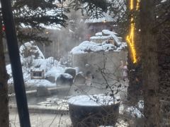 -汉拿山温泉度假酒店