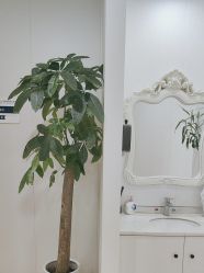 -郑荃丽格医疗美容