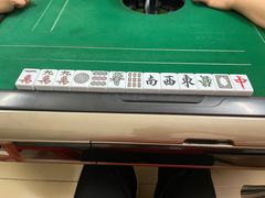 -深圳隐秀山居酒店
