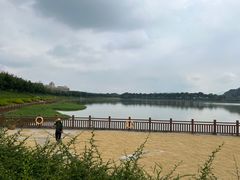 -风云岭森林公园