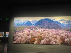 -罗红摄影艺术馆