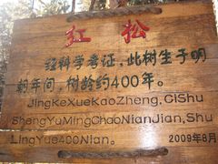 景点-五营红松林海景区