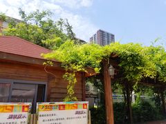 -陕西省小天鹅艺术团