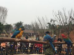 -黄龙溪欢乐田园