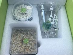 -奈雪的茶(汇一城pure店)