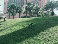 -亚特兰蒂斯水世界冒险乐园