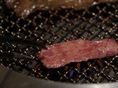 -东京烧肉 平城苑(银座５丁目店)