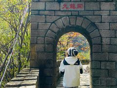 -少华山国家森林公园