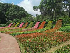 -广州市石门国家森林公园