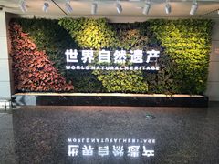 -张家界荷花国际机场