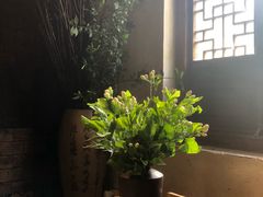 -普洱茶府(博乐广场店)