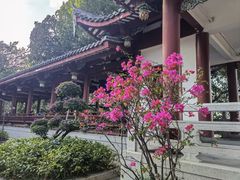 -乌山风景区