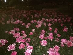 -杨府山江南里(华光路店)