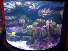 -暹罗海洋世界