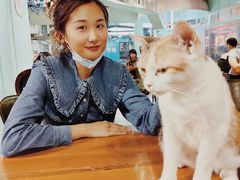 -猫小院猫主题餐厅(三里屯店)
