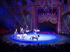 -珠海横琴长隆《卡卡虎奇遇记》