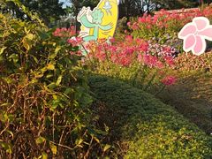-云溪植物园