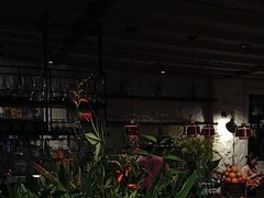 -Apollo·西班牙小酒馆(安福路店)