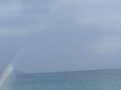 -杨梅坑