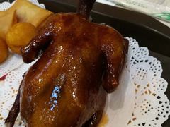 -南粤光明乳鸽(金钟店)