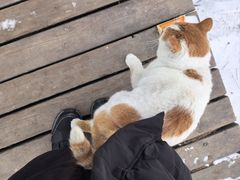 -帽儿山国家森林公园