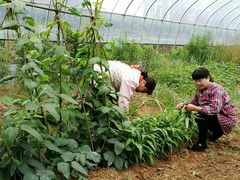 -龙湖东院农庄(乡间小路店)