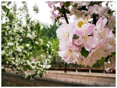 -元大都城垣遗址公园