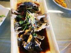 -京北渔家傲